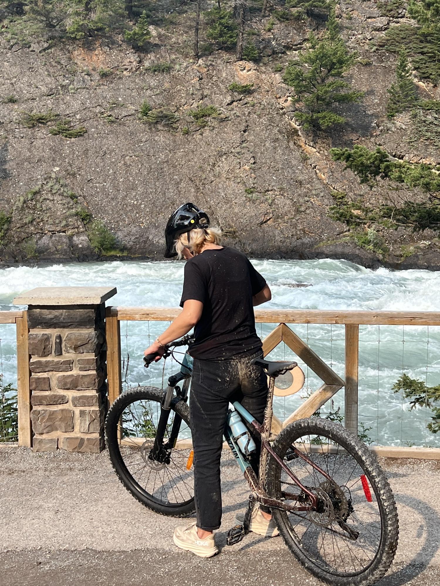 Rocky Mountain Bicycles Growler Teal and Brown