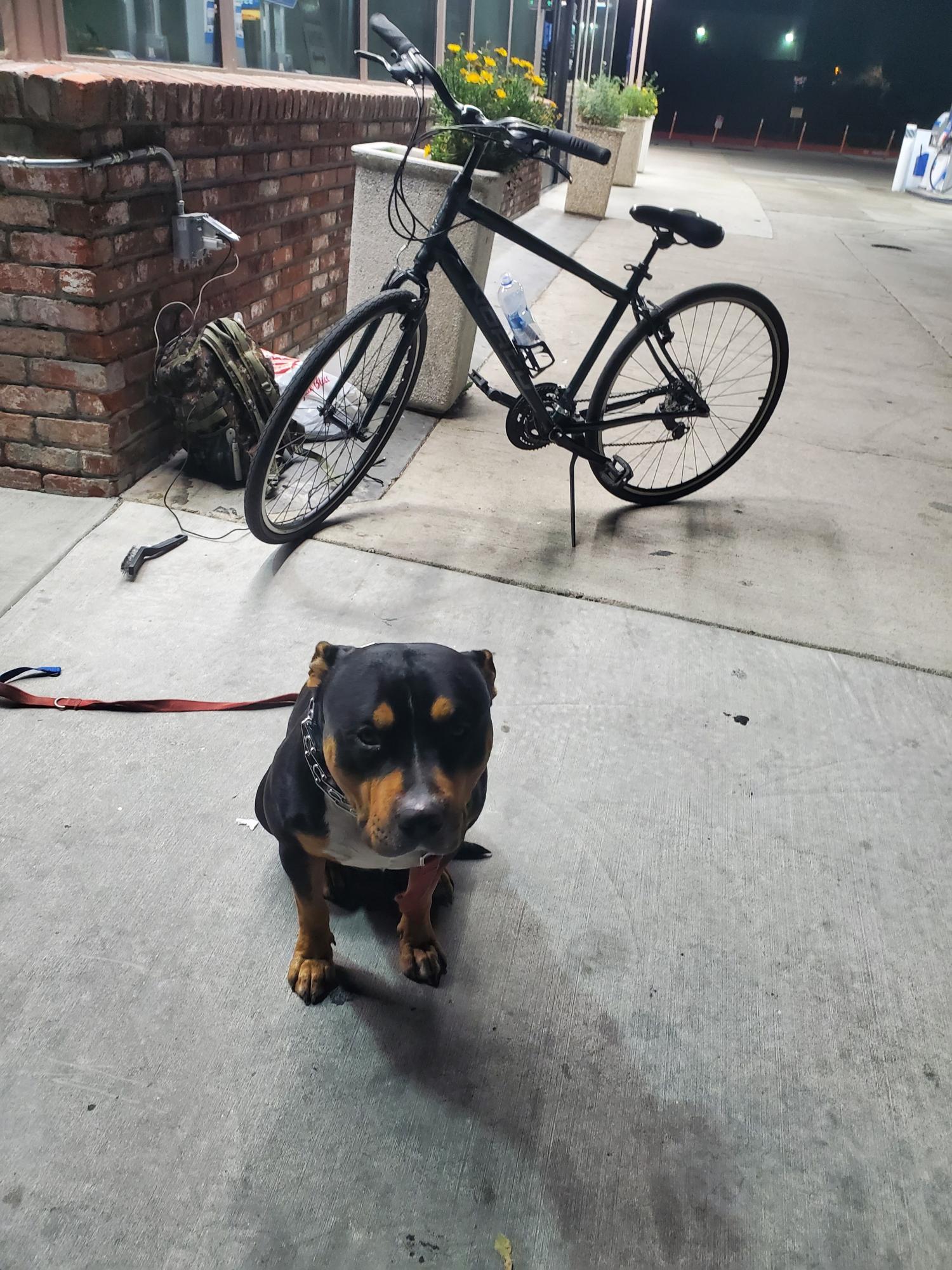 2019 Norco Bikes Yorkville Green