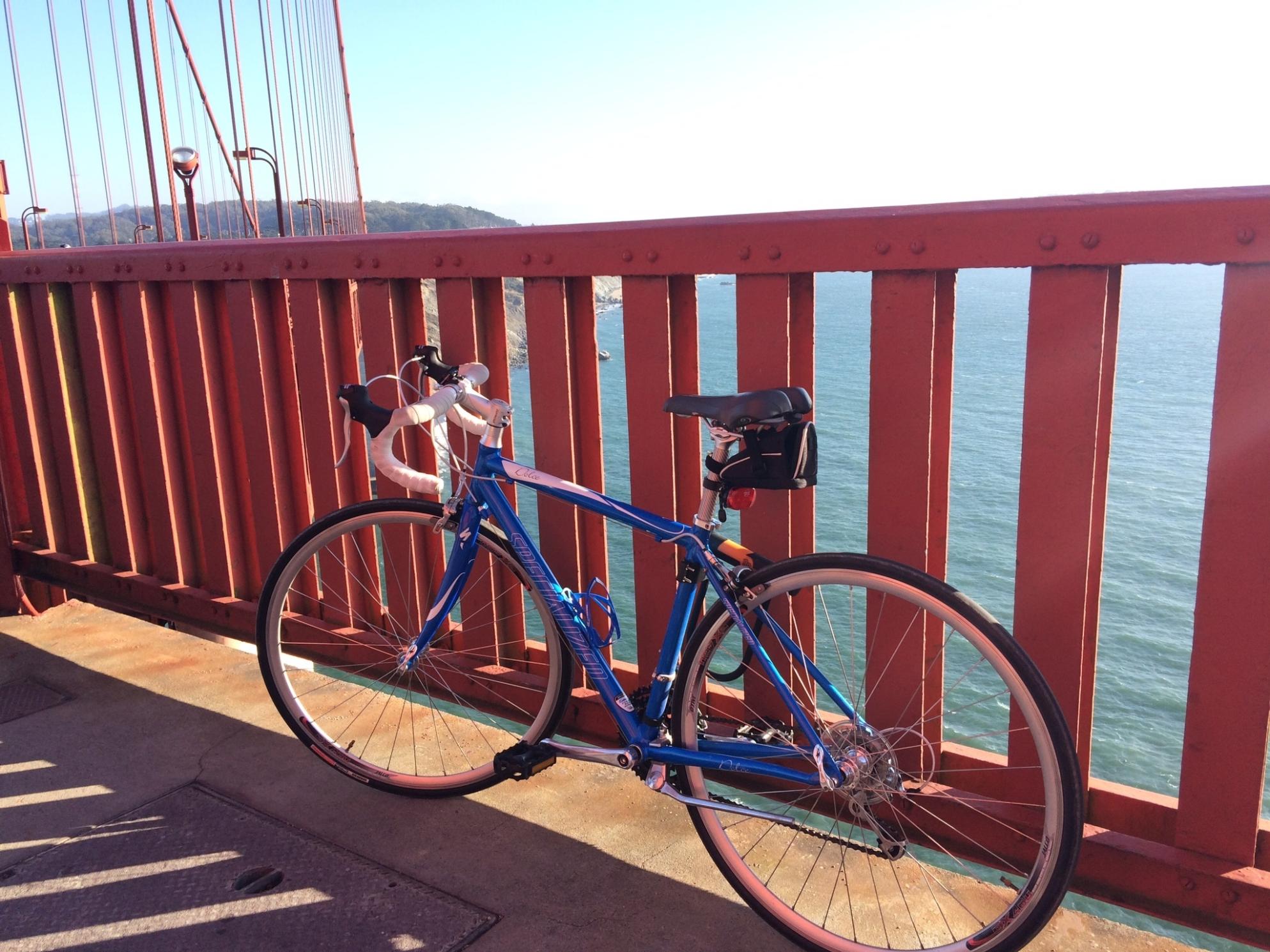 2010 Specialized Dolce   Blue