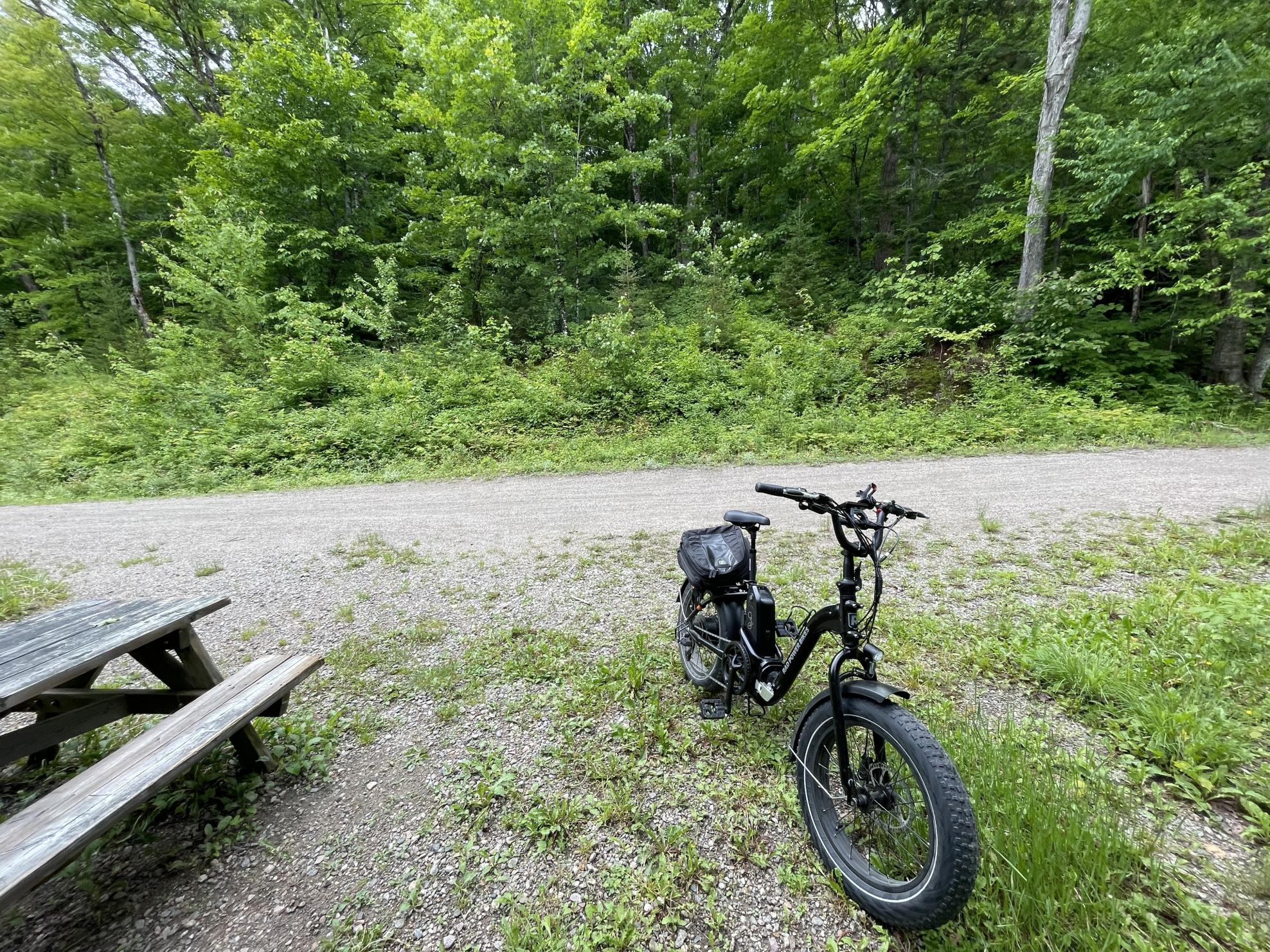 2022 Rad Power Bikes Radexpand 5 Black