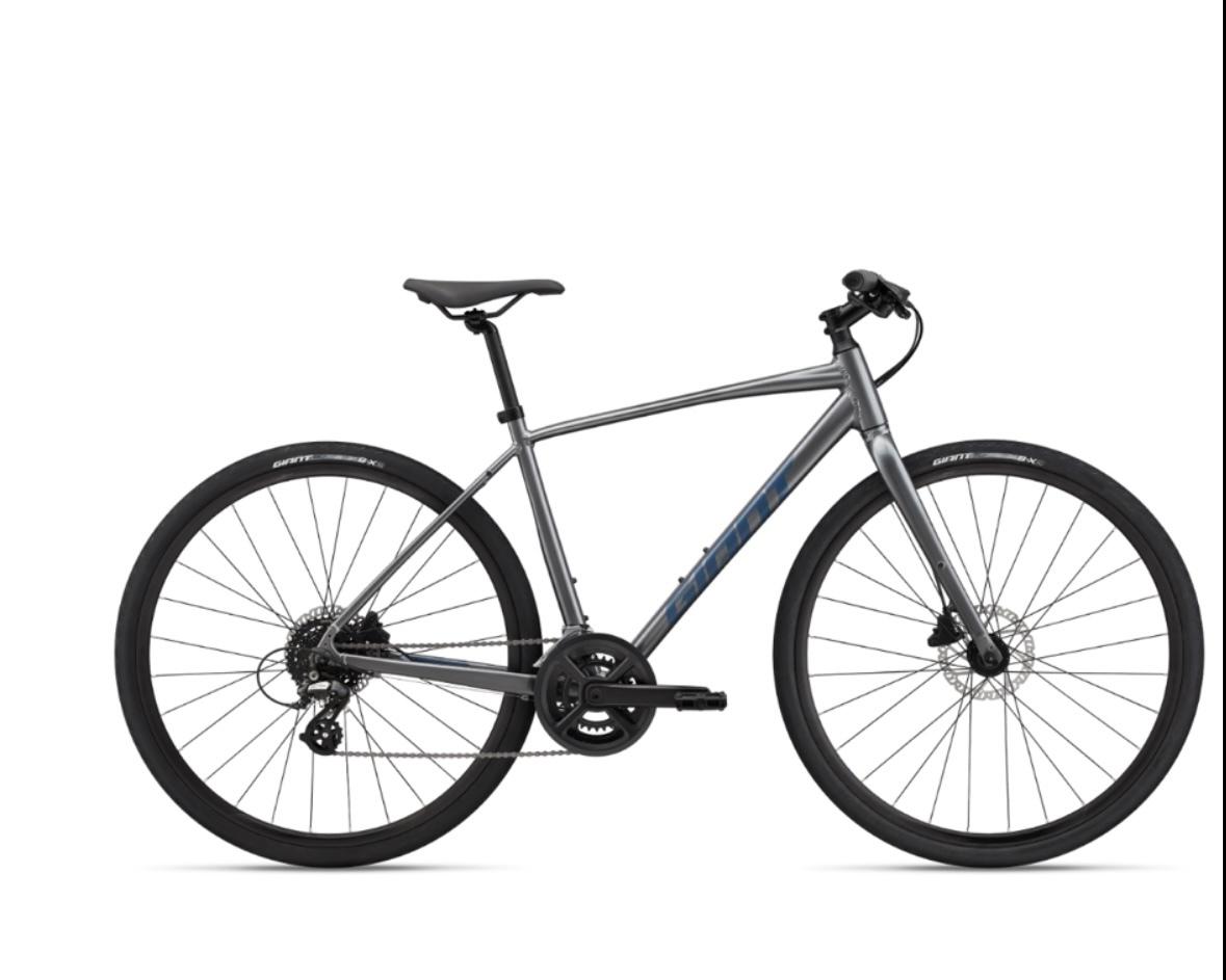 Giant Escape 2 Silver, gray or bare metal