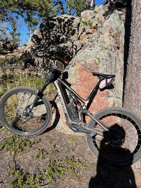 2023 Specialized Levo SL Brown