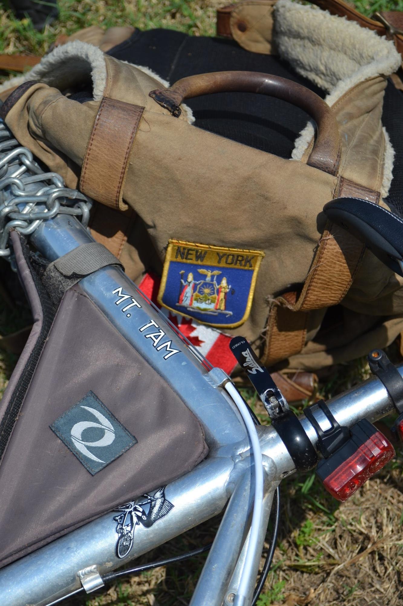 Gary Fisher Mt Tam 29 Silver or Gray