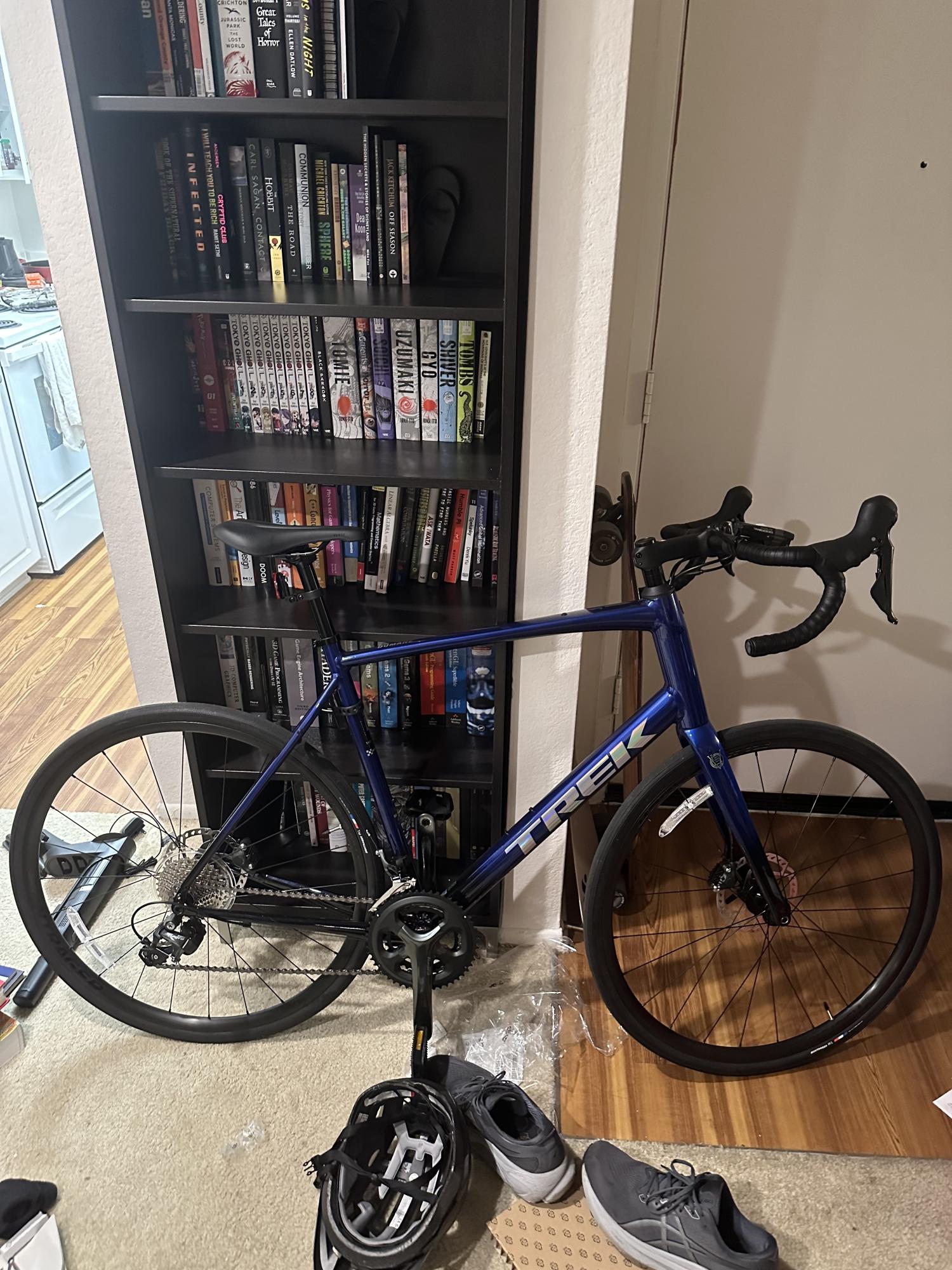 2024 Trek Domane AL4 Blue