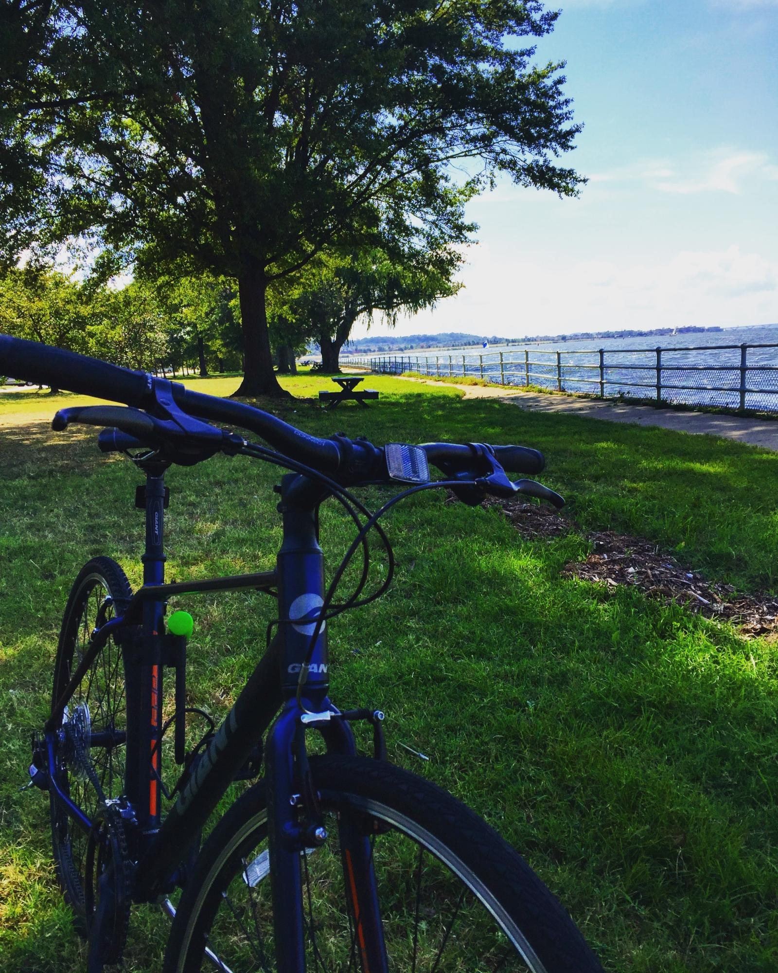 2015 Giant Escape Blue