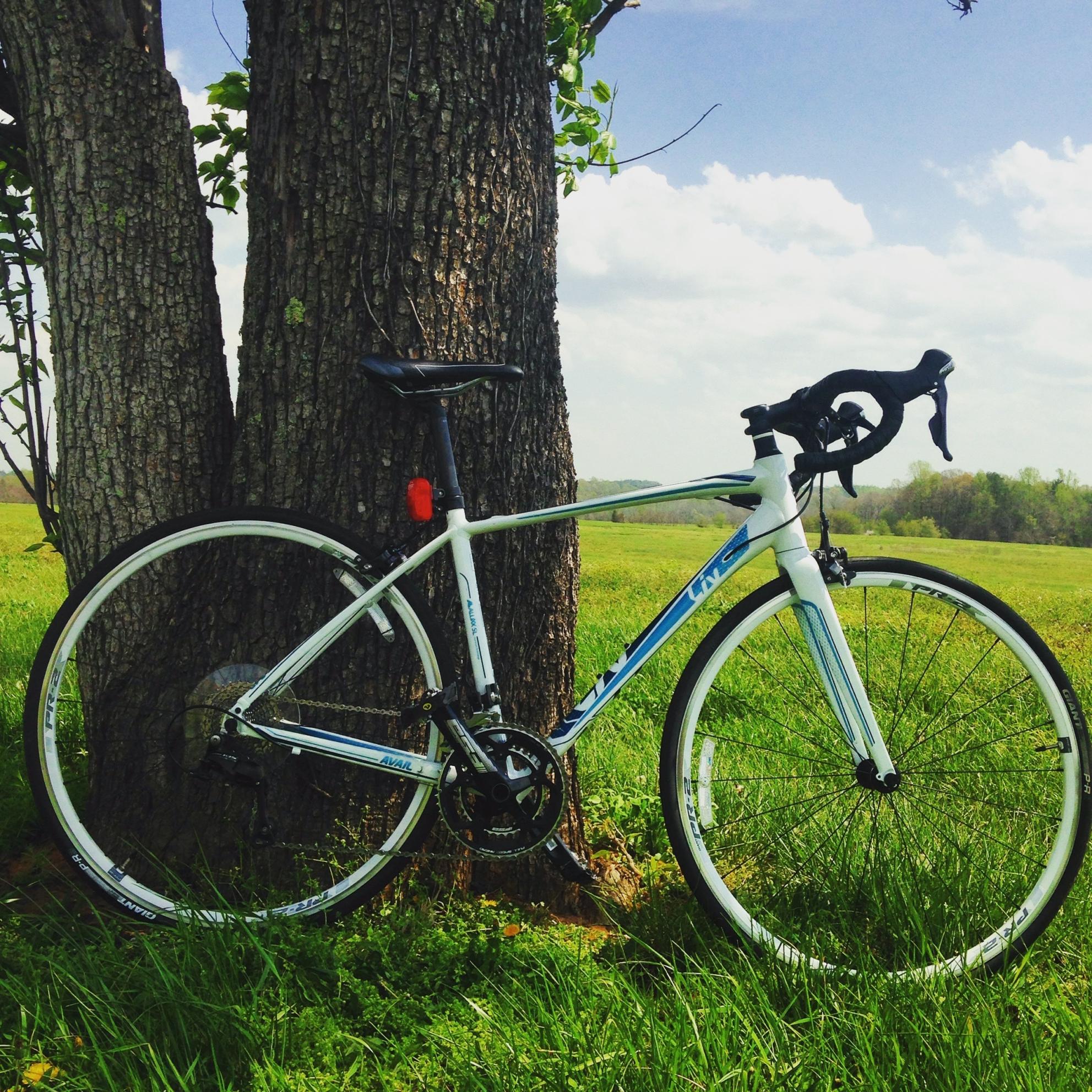 2015 Giant Avail 1 White