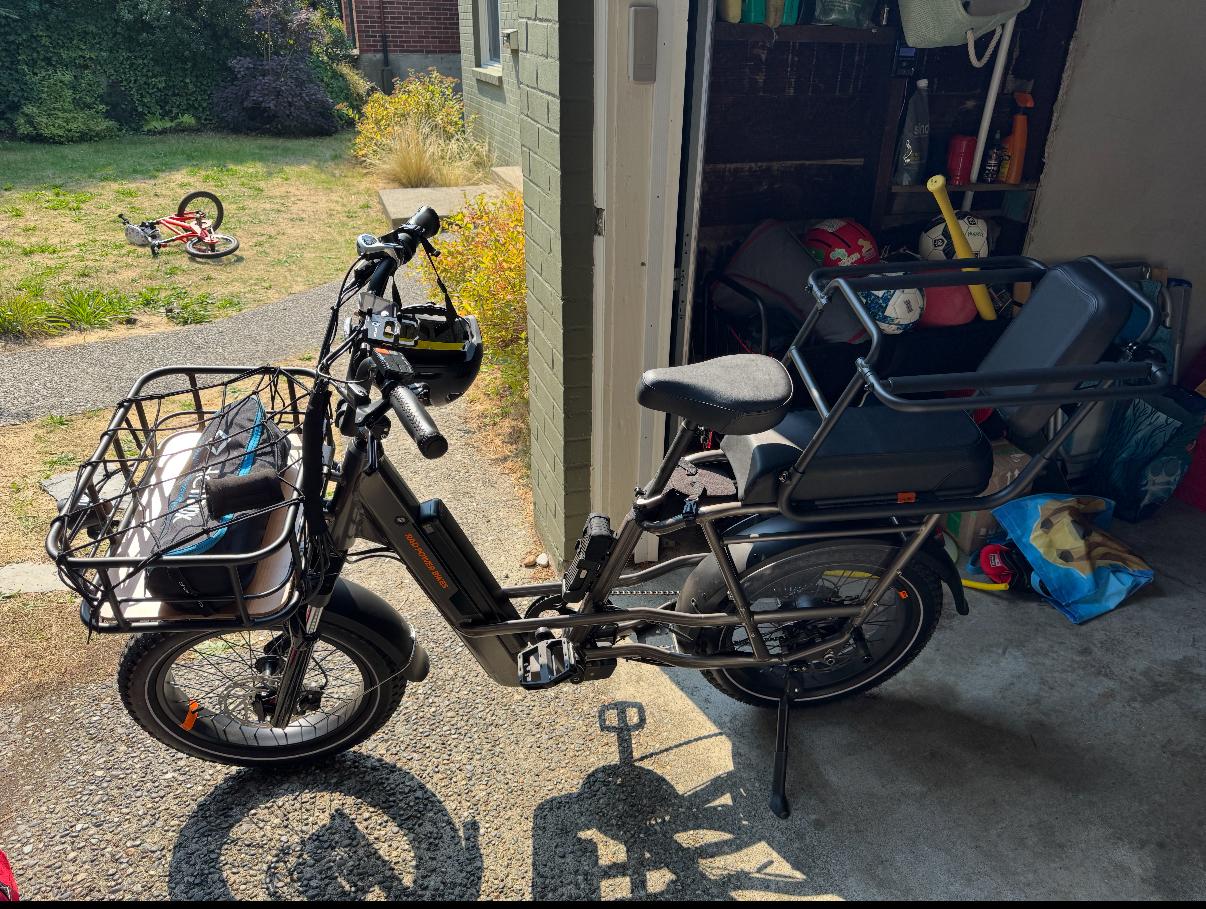 2023 Rad Power Bikes Black