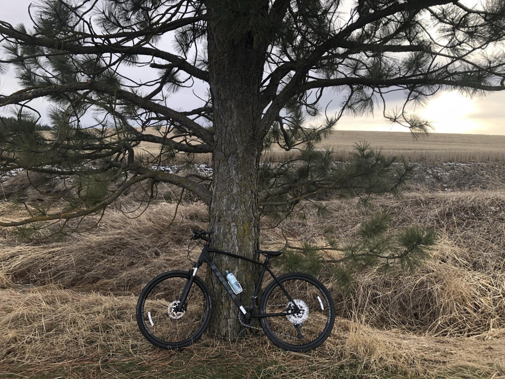 2021 Trek Dual Sport 4 Black
