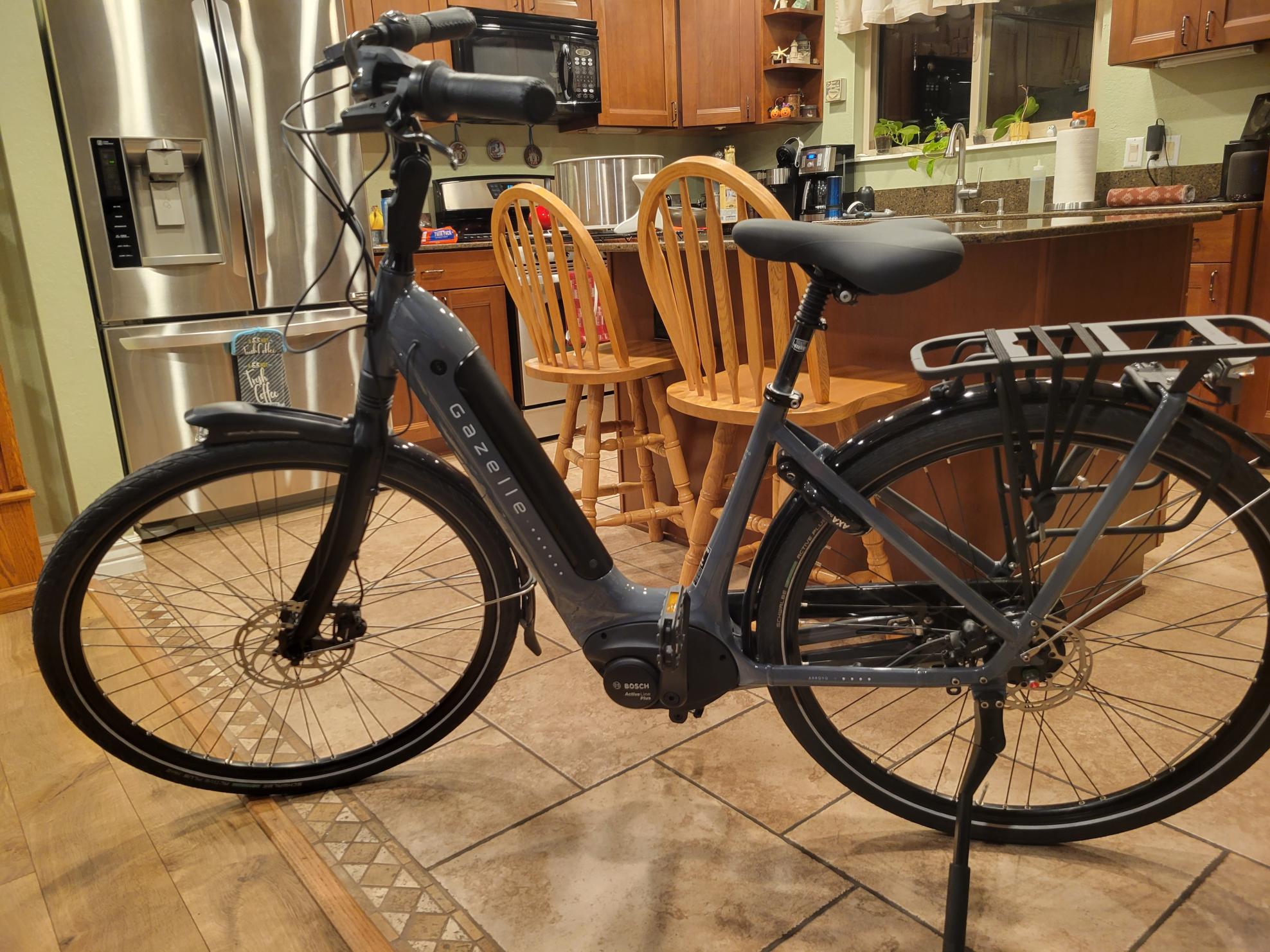 2022 Gazelle Arroyo C8 HMB Elite Silver, gray or bare metal