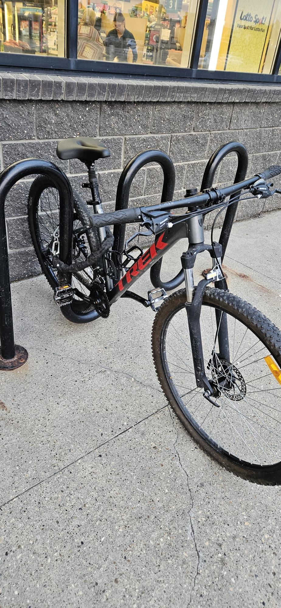 2023 Trek 246 Silver, gray or bare metal