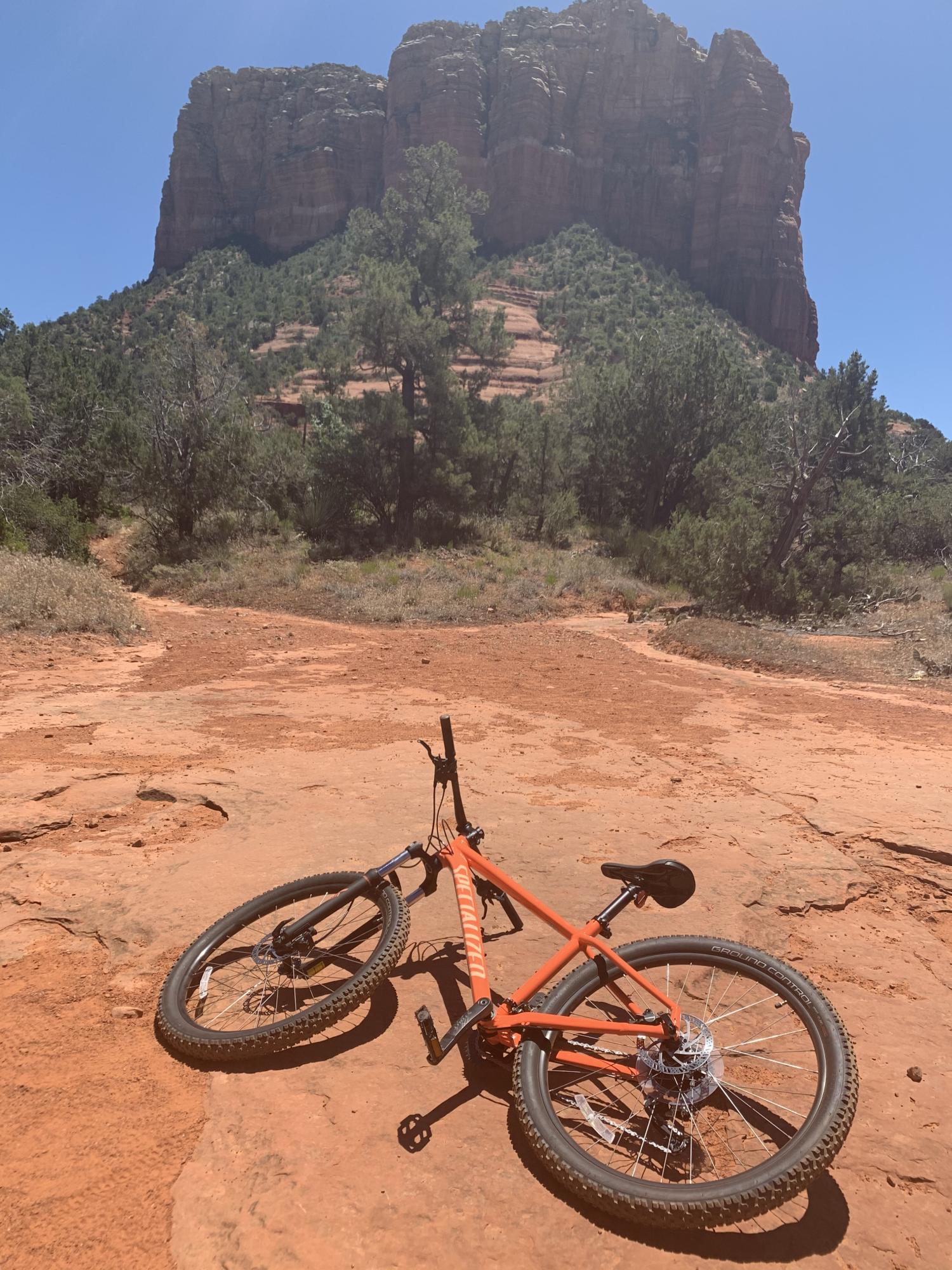 2020 Specialized Rockhopper Orange