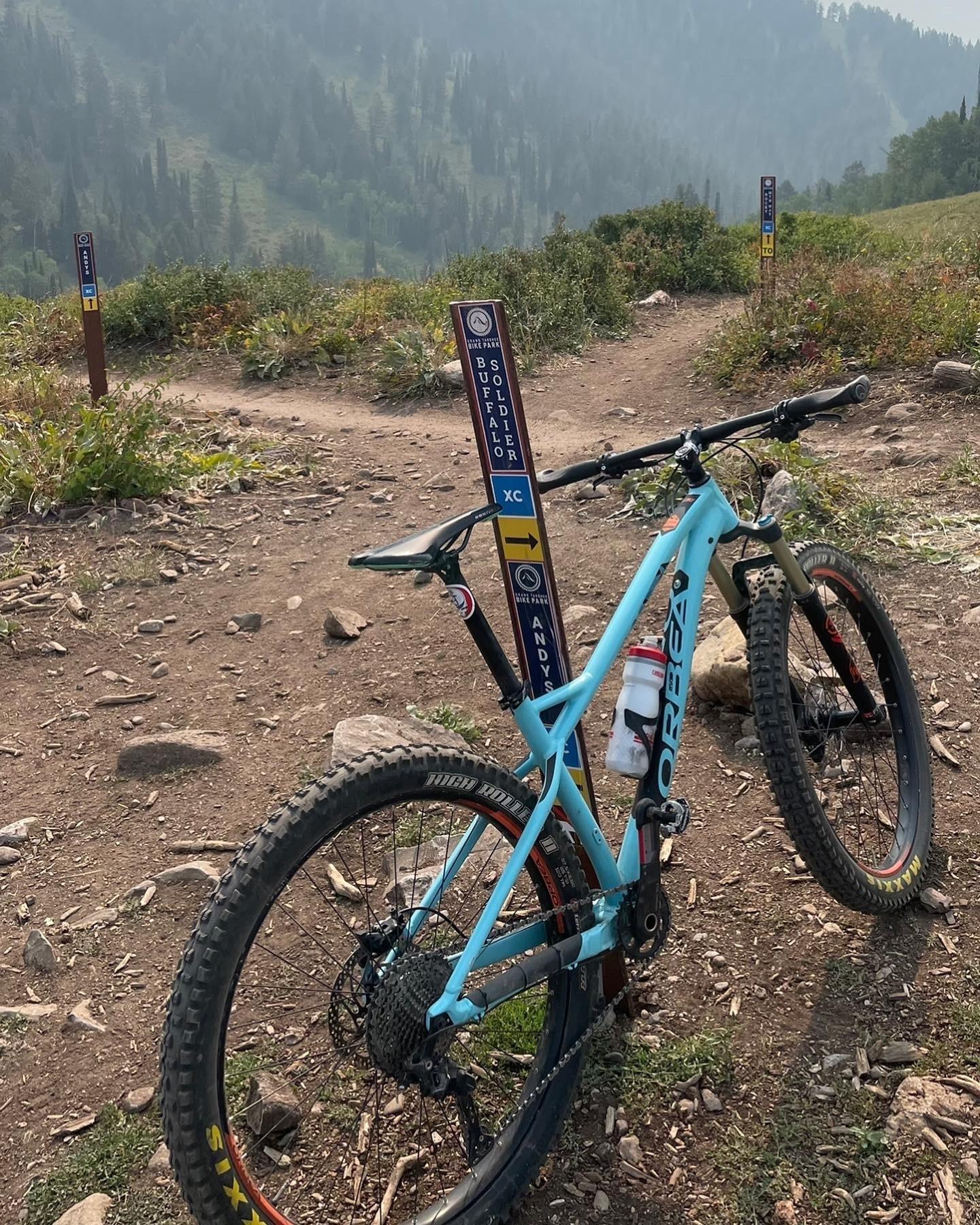 2017 Orbea Loki Teal