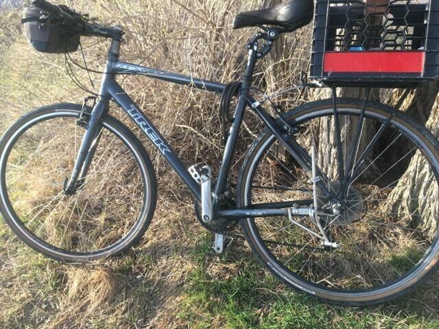 2010 Trek 7.3 FX Black