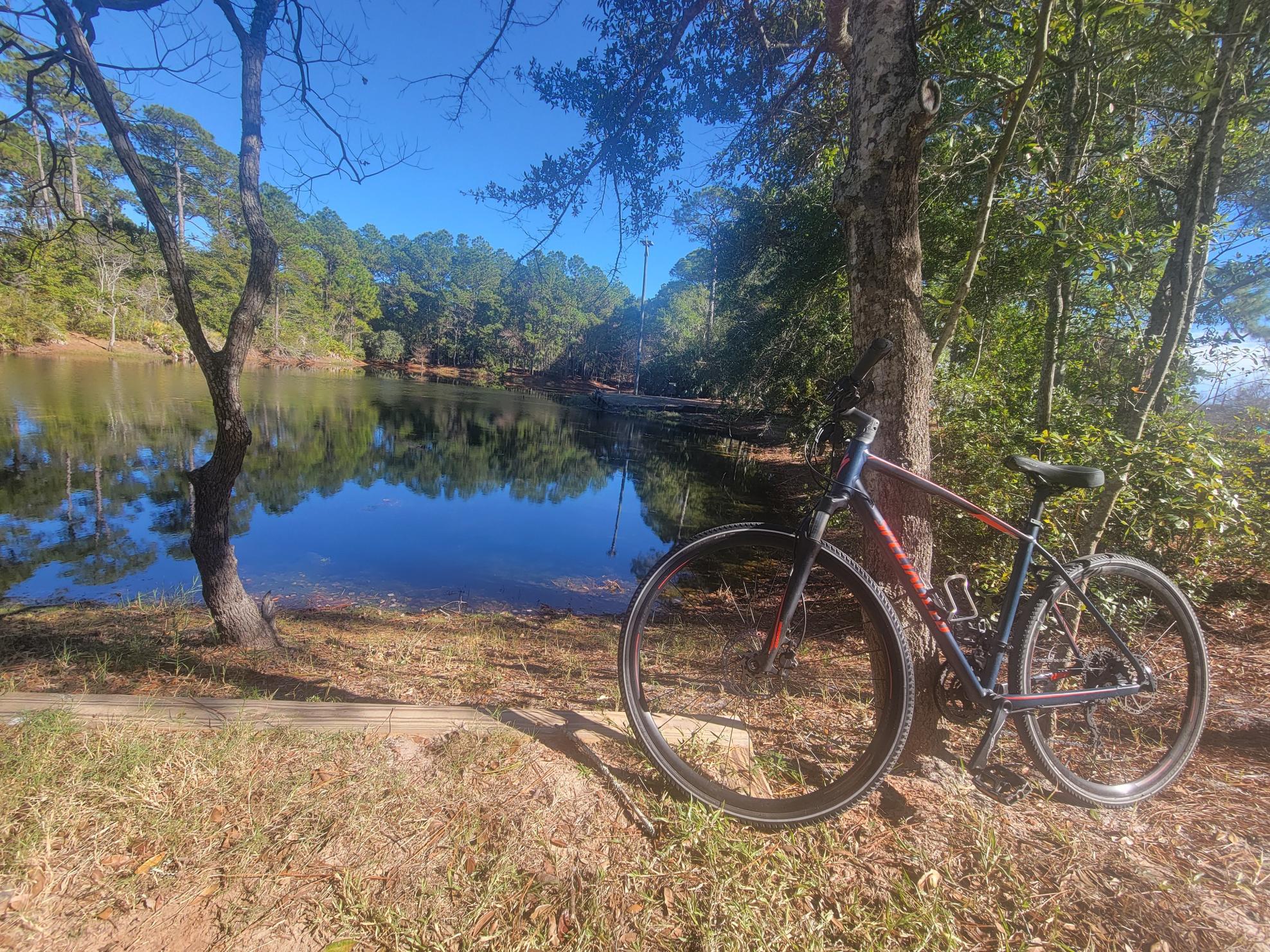 Specialized Crosstrail Elite Blue and Red