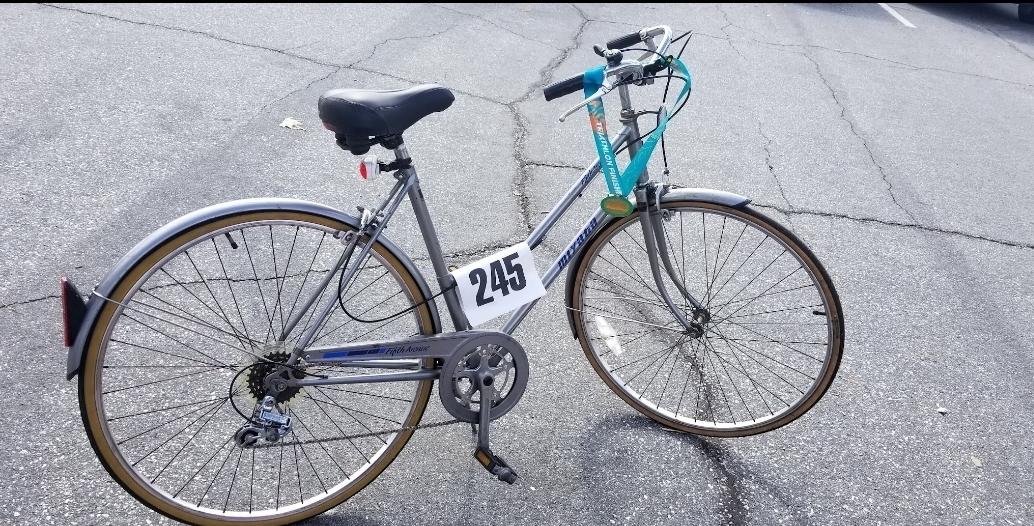 Miyata Fifth Avenue Silver, gray or bare metal