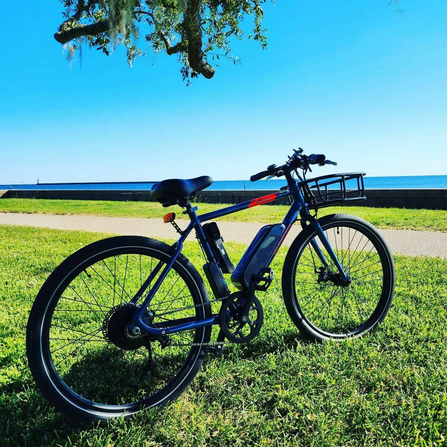 Rad Power Bikes Blue