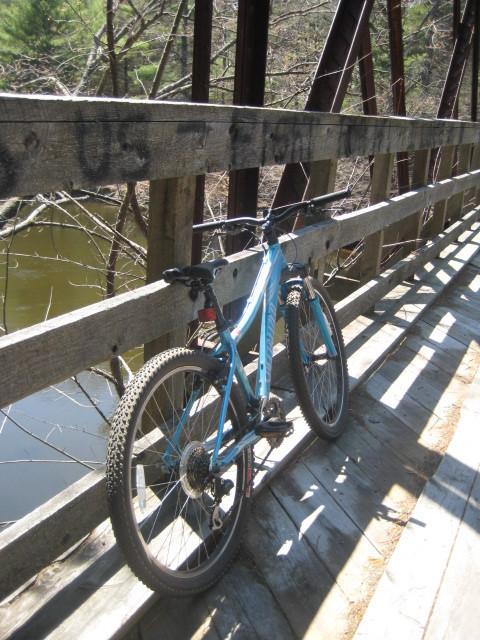 5 Specialized Rockhopper  Blue