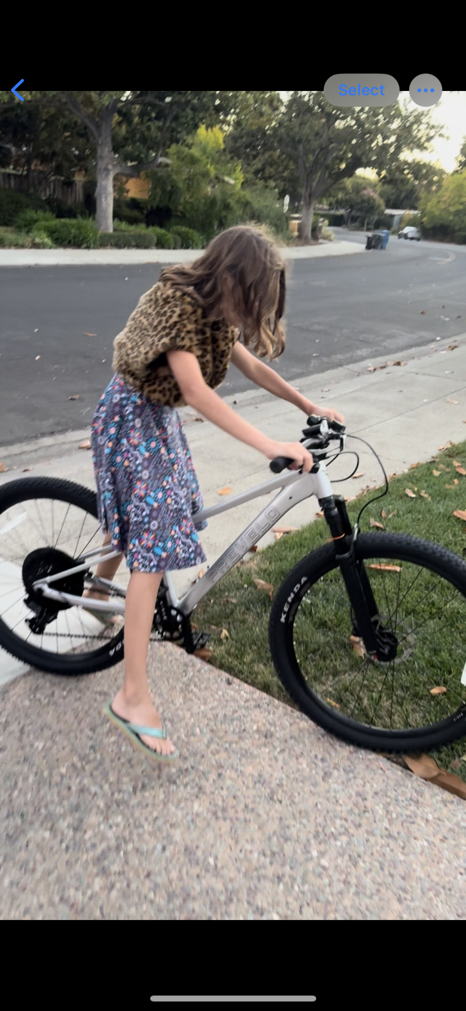 2024 Prevelo Zulu 5 Silver, gray or bare metal