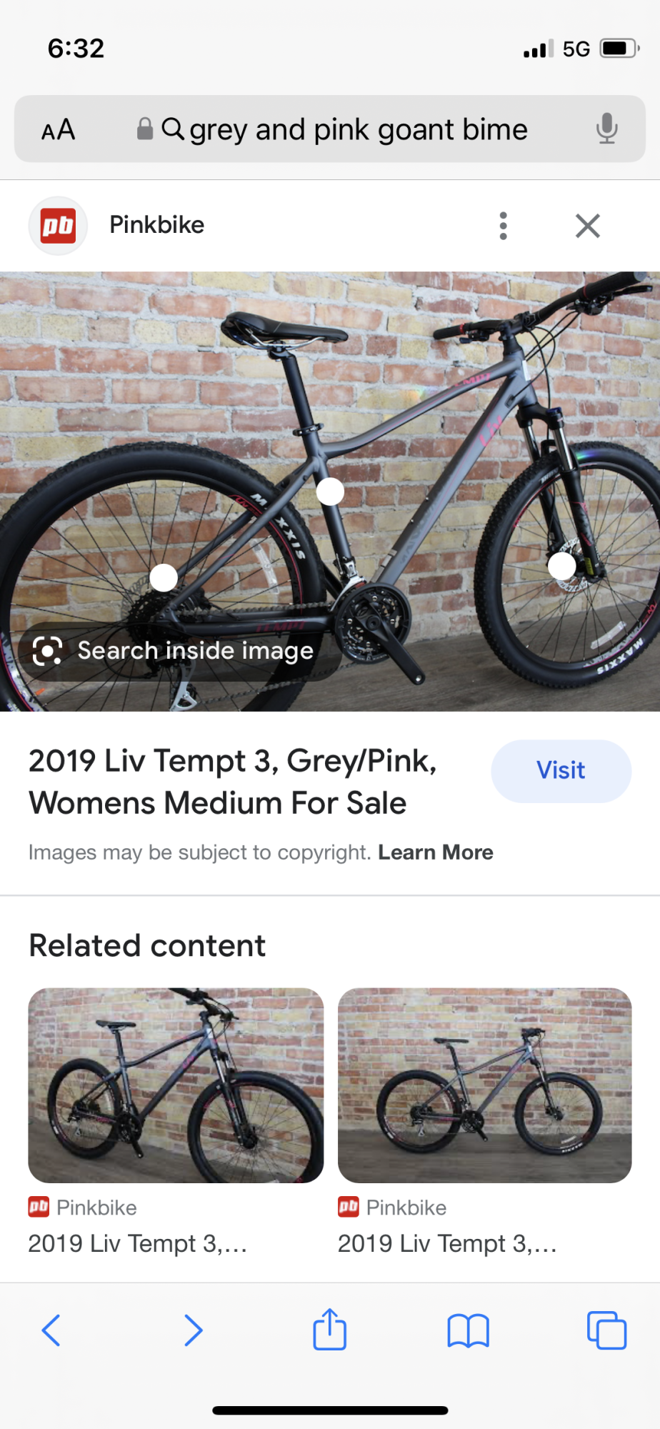 2019 Giant Silver, gray or bare metal and Pink