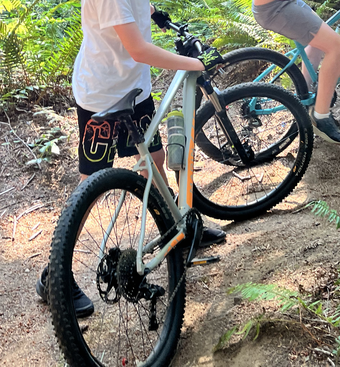 Marin Bikes Bobcat Trail Silver, gray or bare metal
