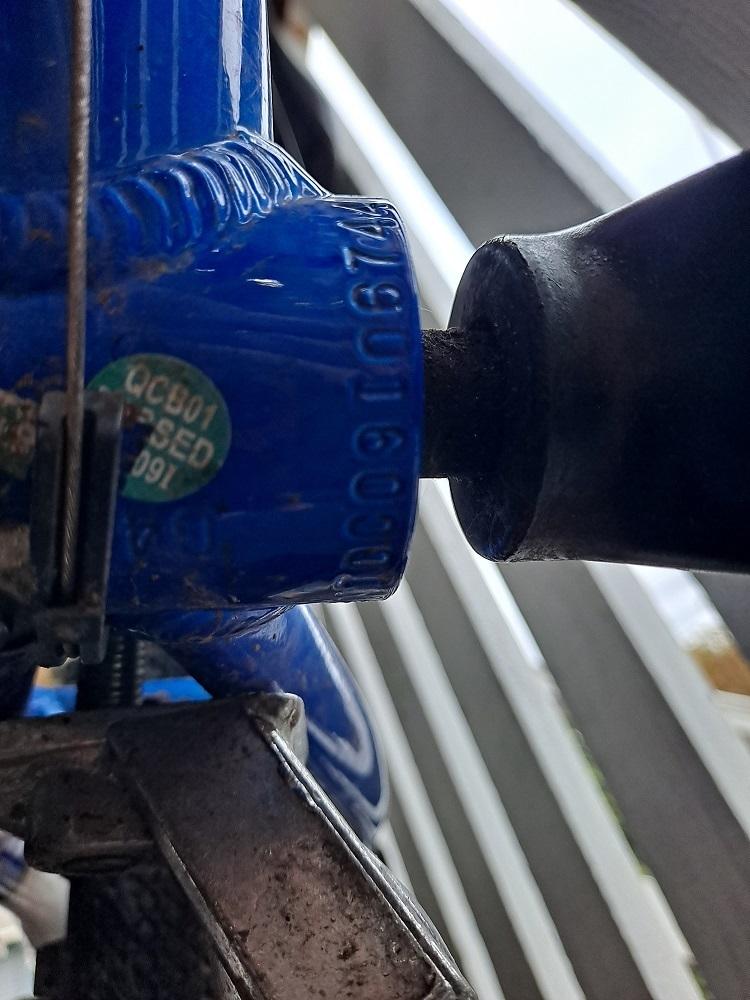 2021 Schwinn Mesa Midi Blue and White