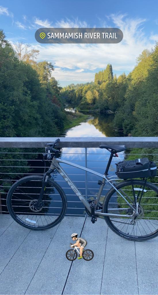 2019 Trek Dual Sport 2 Silver, gray or bare metal