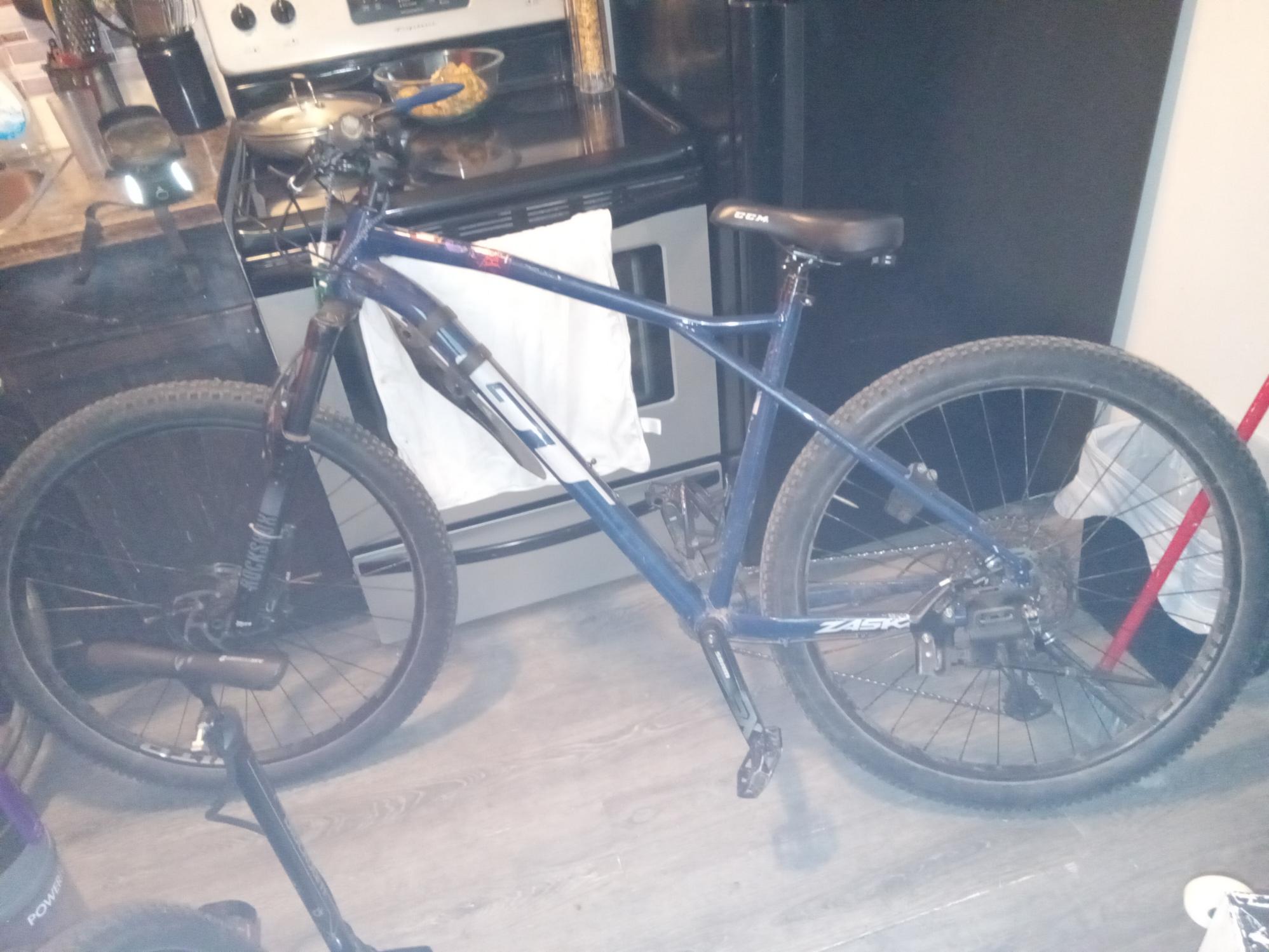 GT Bicycles ZASKAR Blue and Silver, gray or bare metal