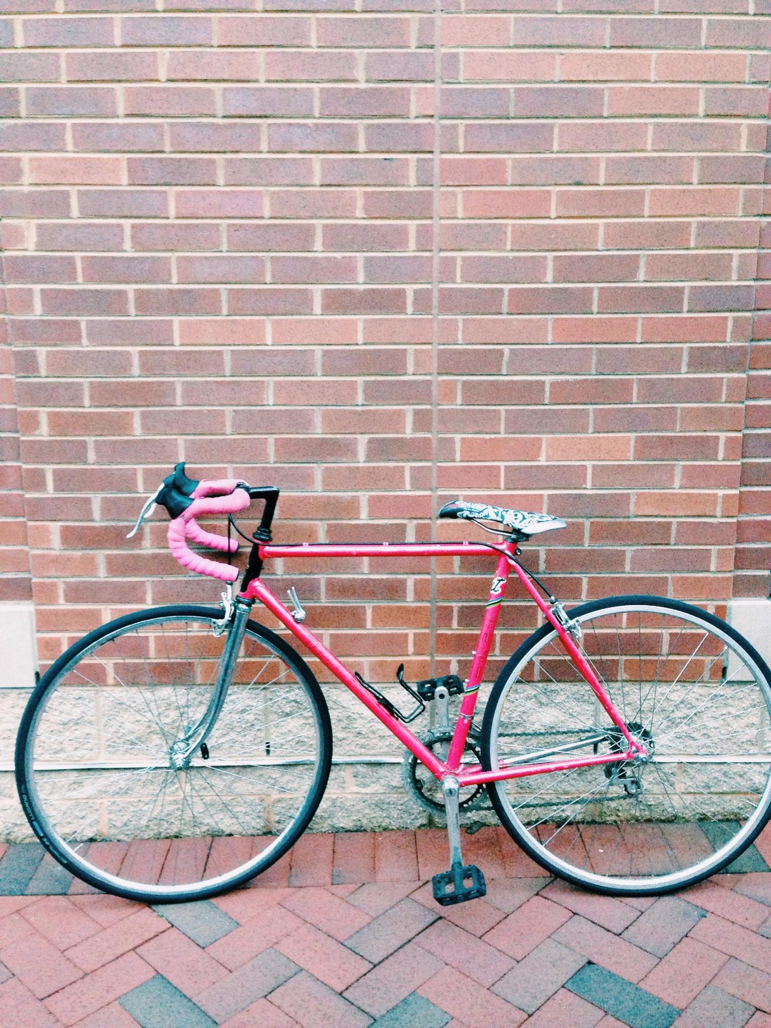 Fuji Sports 10  Pink