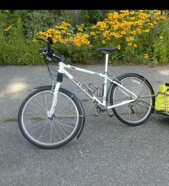 1998 Cannondale F1000 White