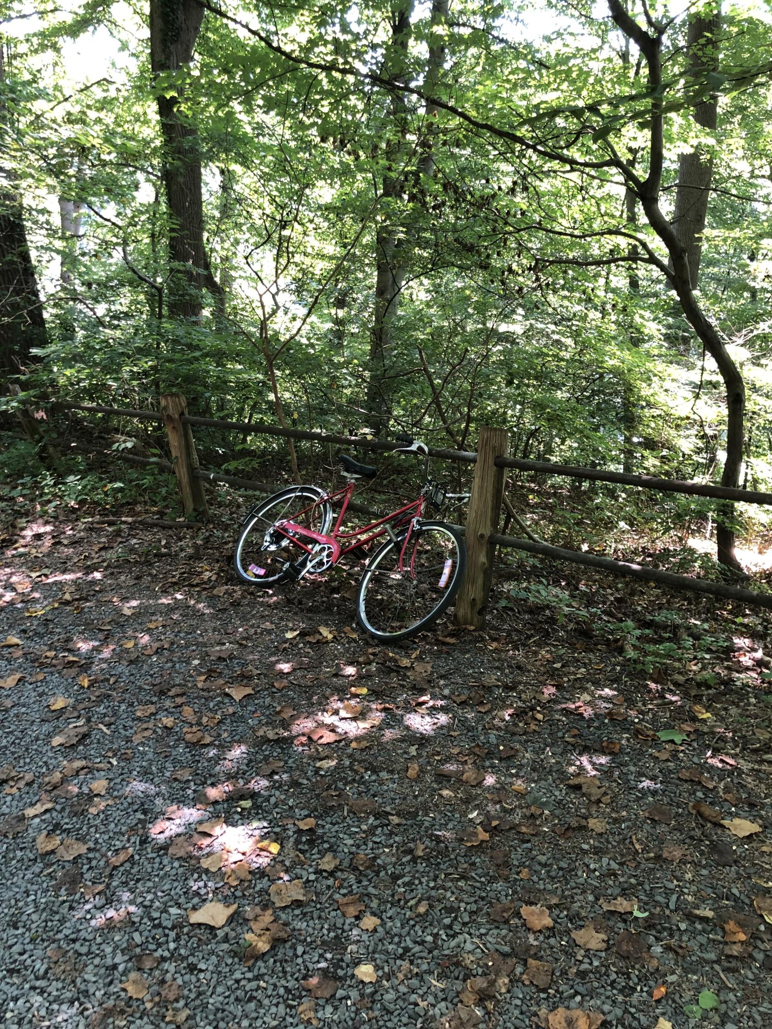 1974 Schwinn Collegiate Red
