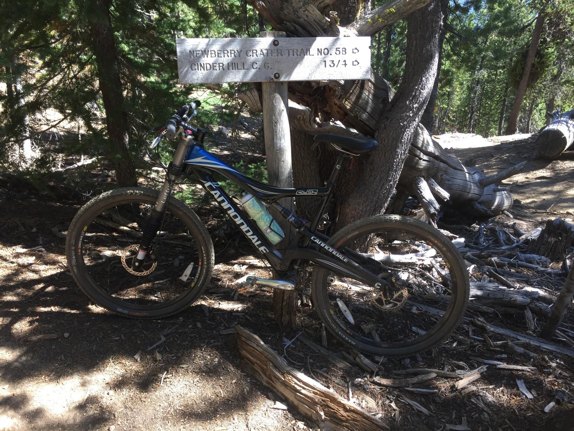 Cannondale Lefty Black and Blue