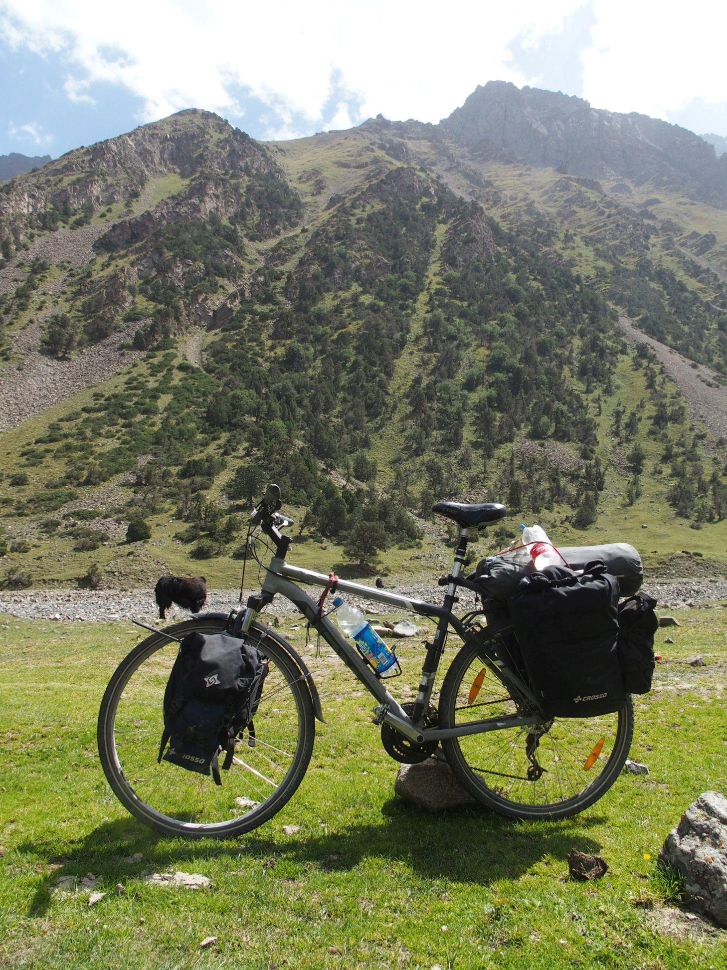 2011 Trek Bodega Silver or Gray and Black