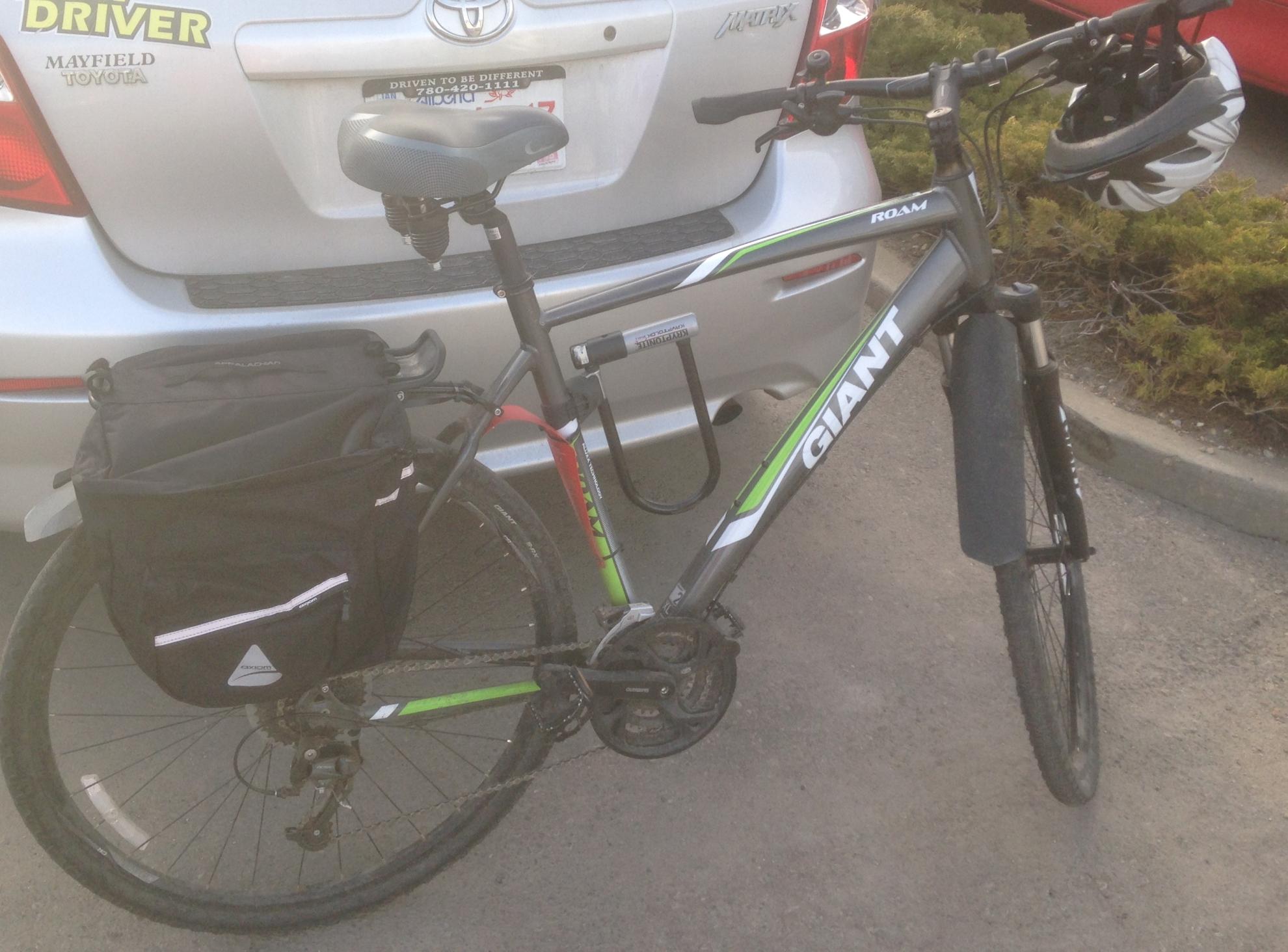 2015 Giant Roam 2 Black and Green