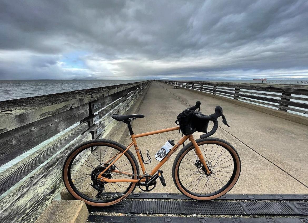 2021 Marin Bikes Nicasio Plus Brown