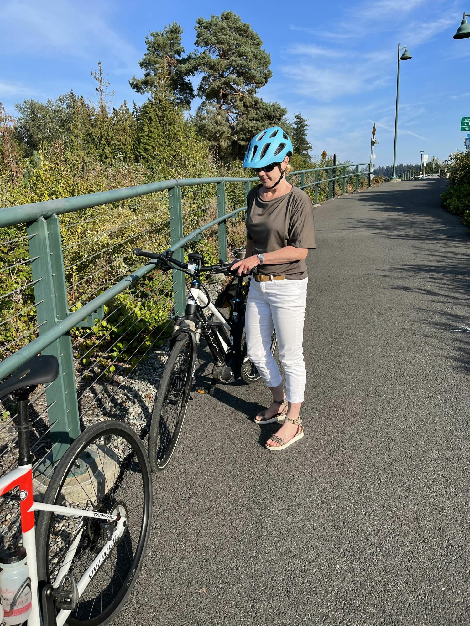 2017 BULLS Bikes Bulls Cross E 500W Black