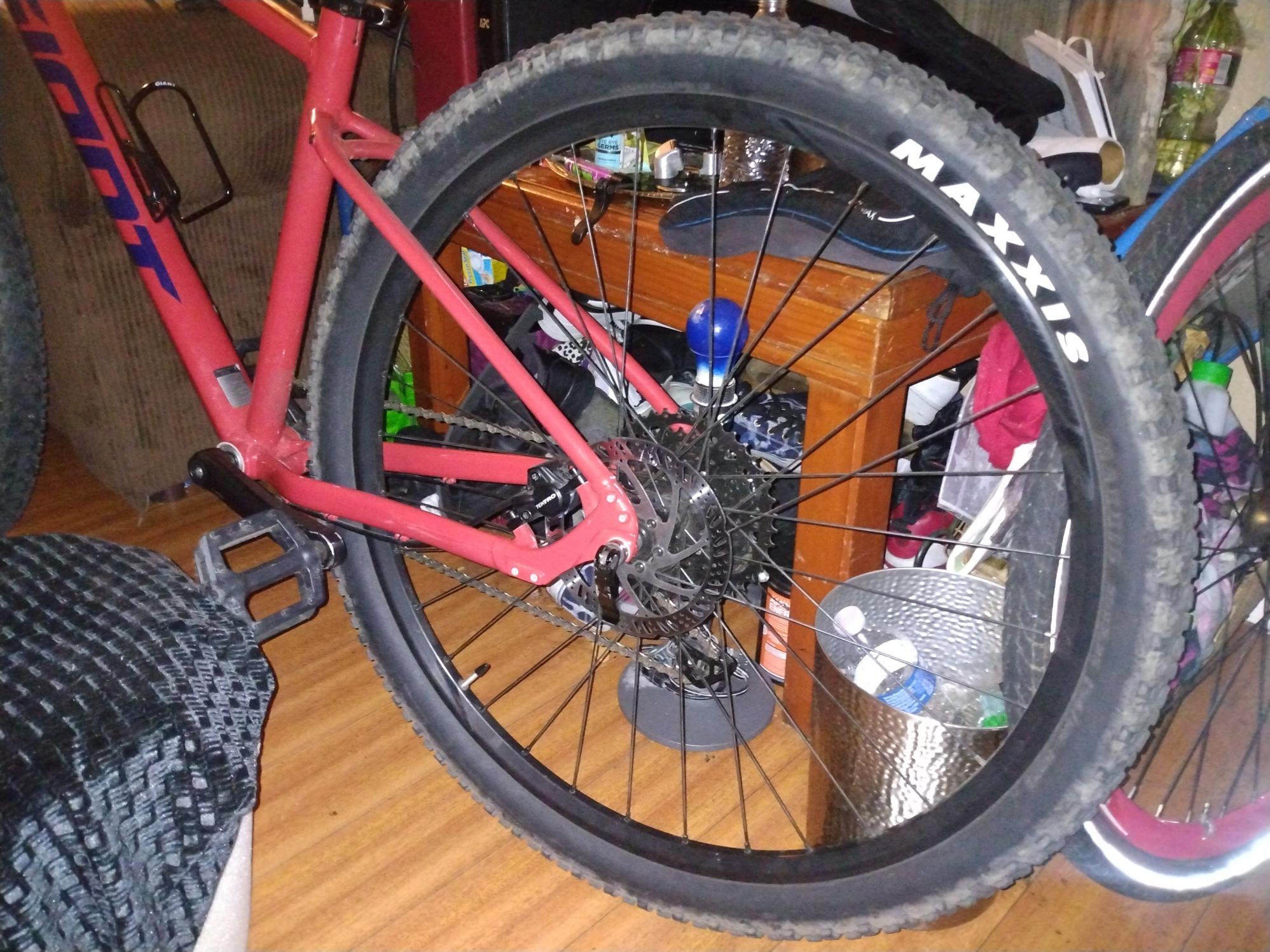 2021 Giant Talon Orange and Black