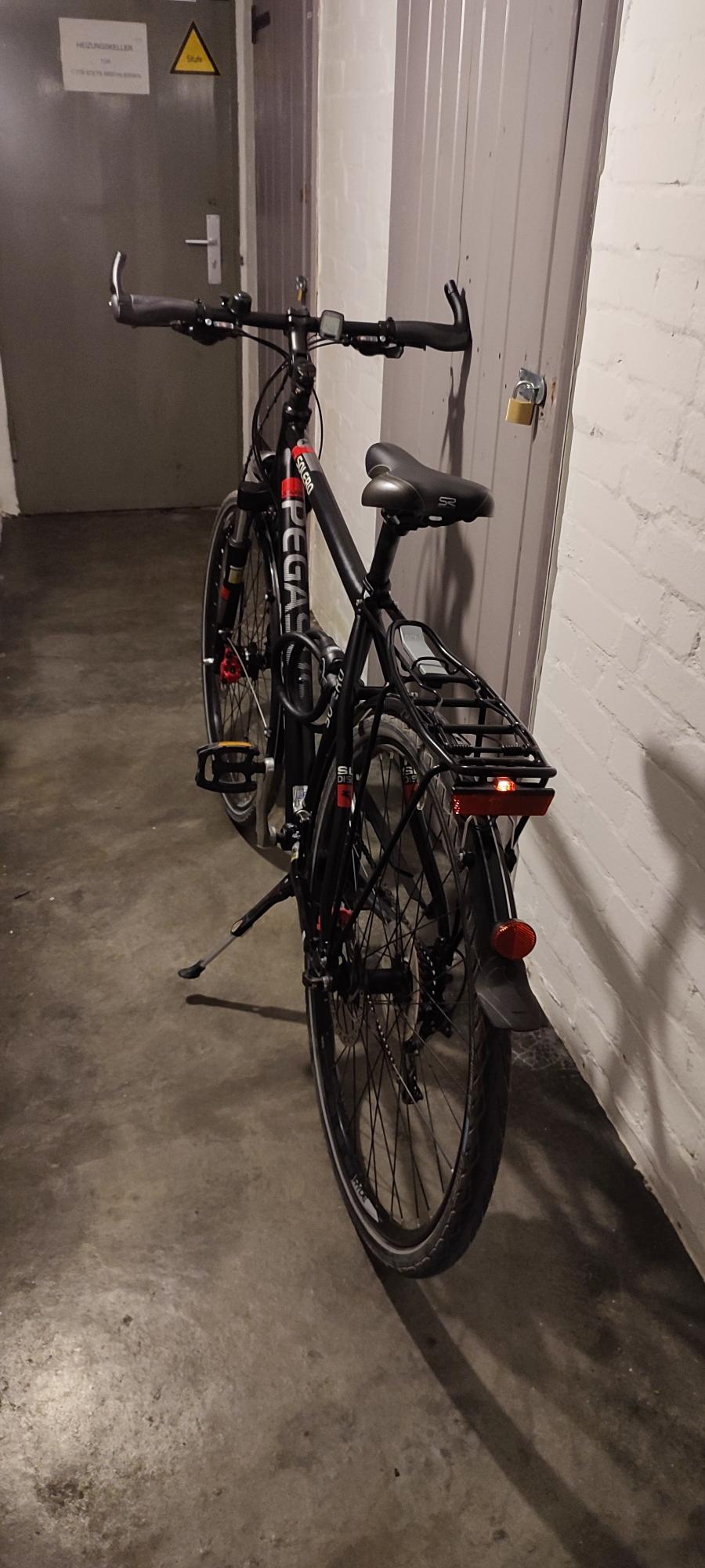 Pegasus Solero Black and Red