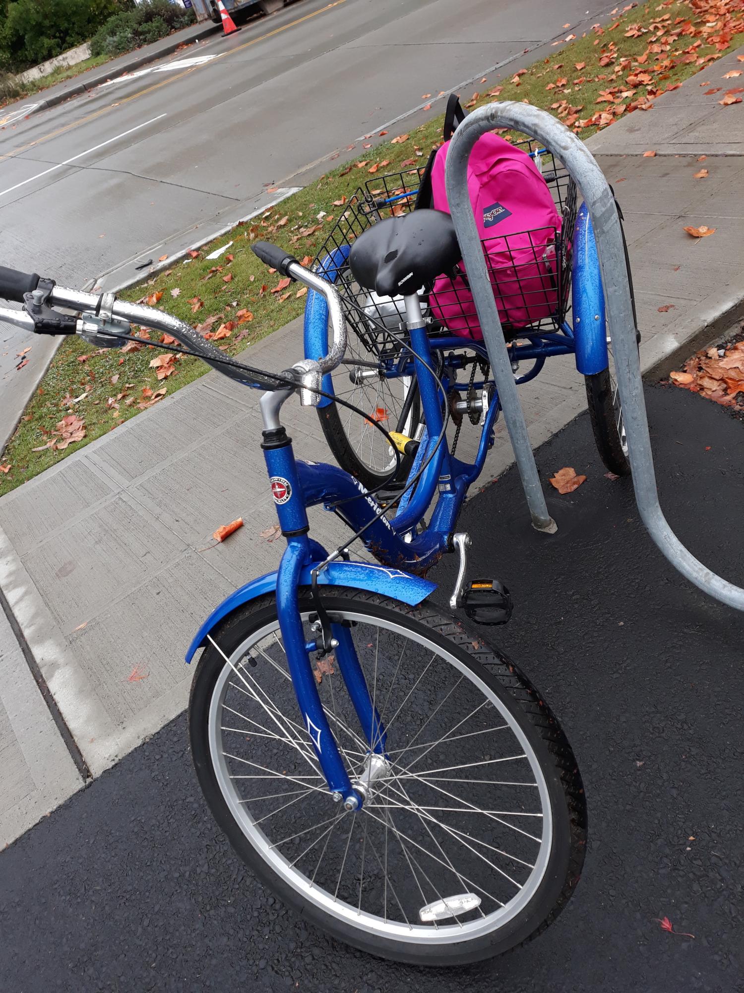 2019 Schwinn cargo tricycle (rear storage) Blue
