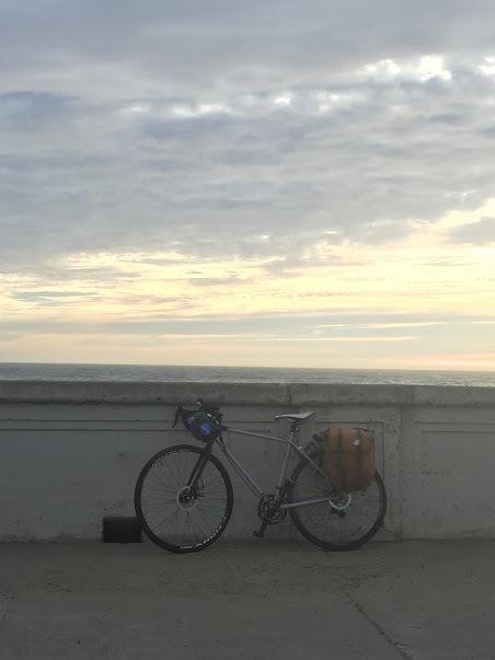 2015 Charge Plug 4 Purple and Silver or Gray