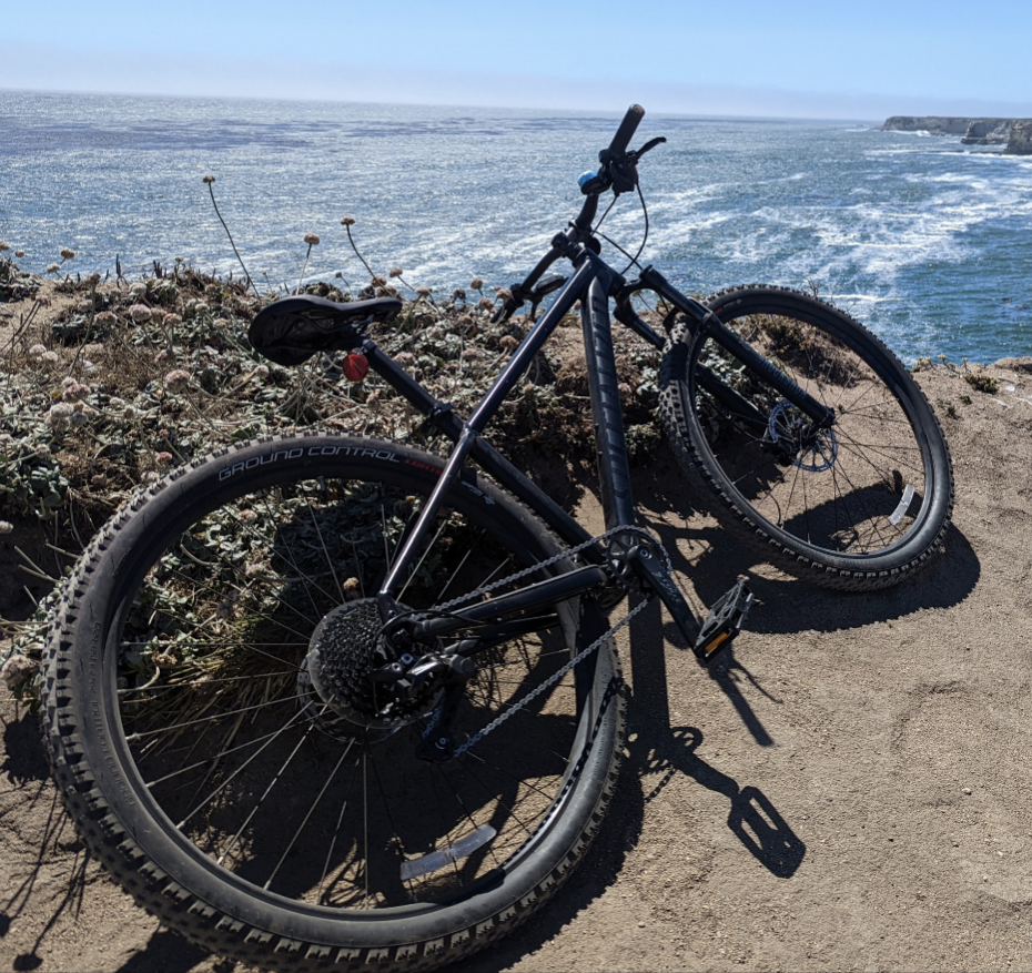 Specialized Rockhopper Black