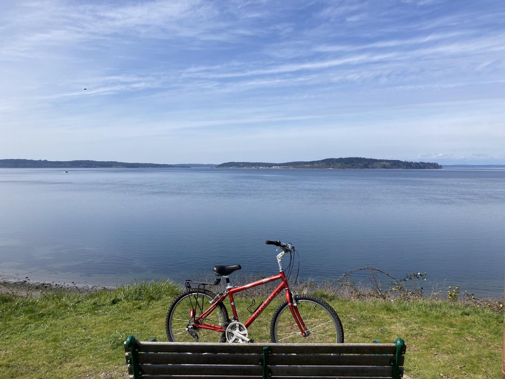 Trek Navigator 300 Red