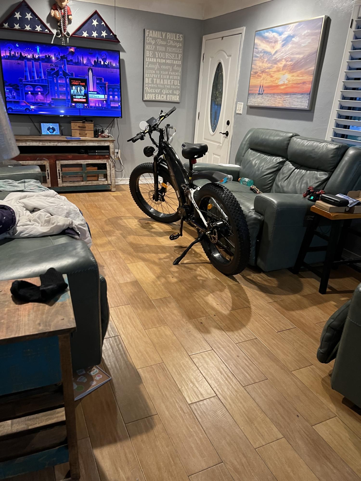 2024 FREESKY 26in fatboy Black and White