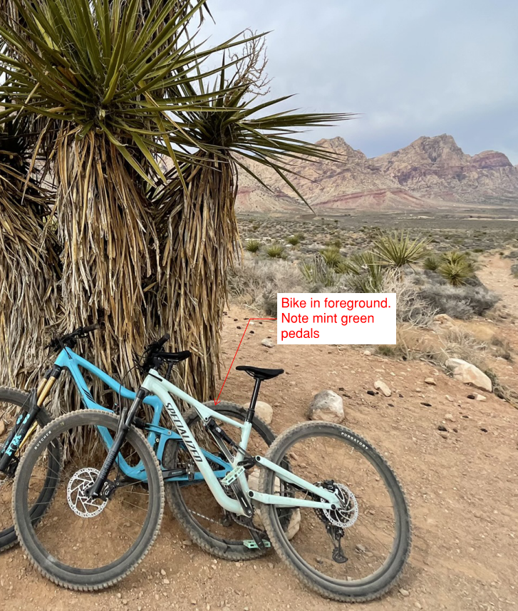 2022 Specialized Stumpjumper Alloy Teal and Teal