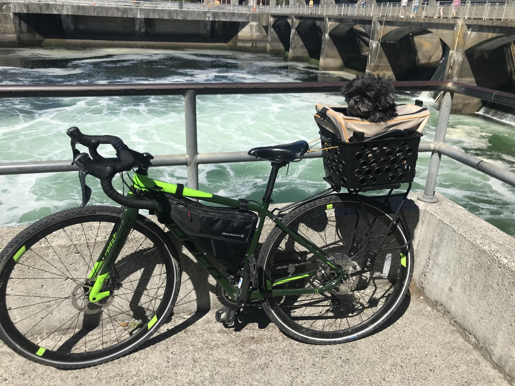 2017 Norco Bikes Tiagra Green