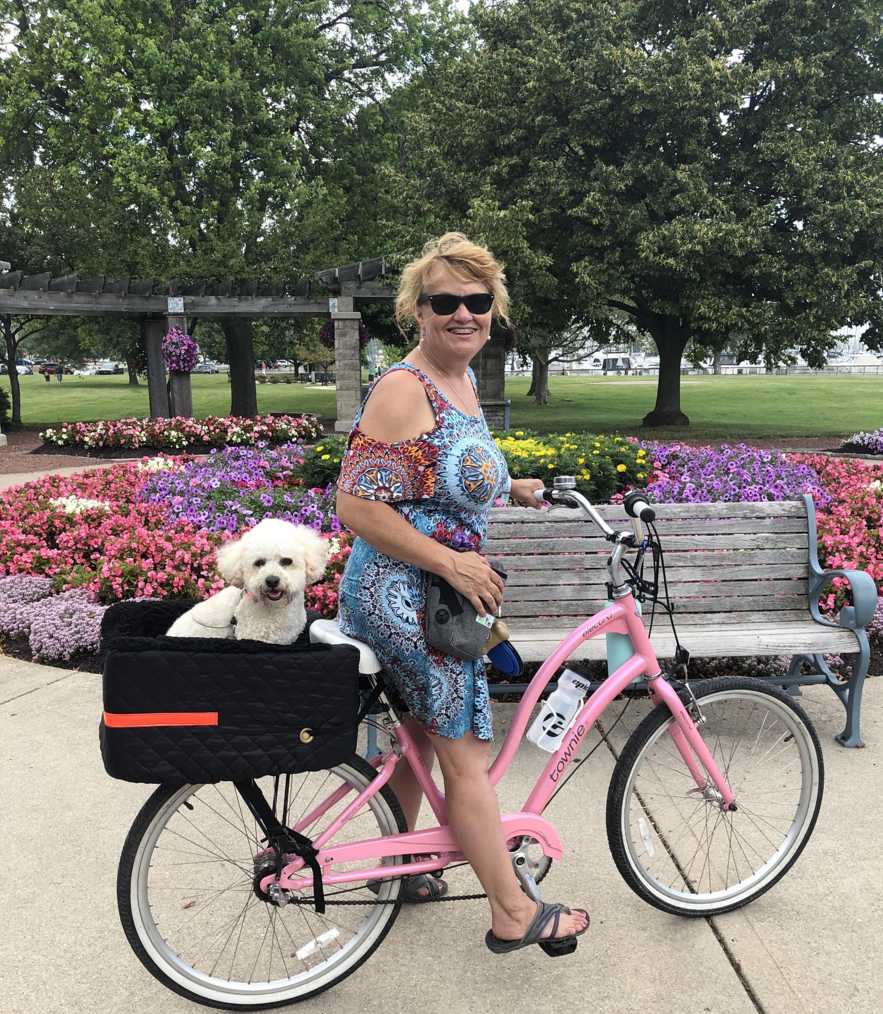 2015 Trek Townie Electra Pink