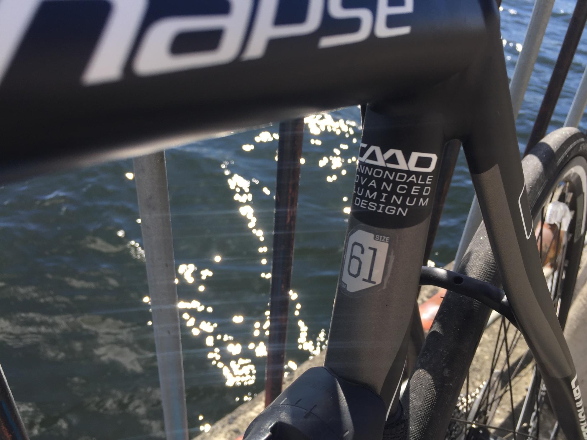 2015 Cannondale synapse Black and White