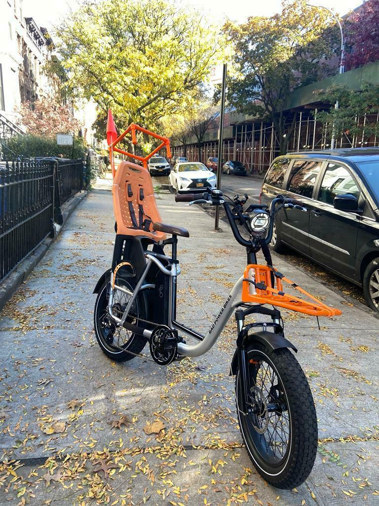 2021 Rad Power Bikes PLUS Silver, gray or bare metal