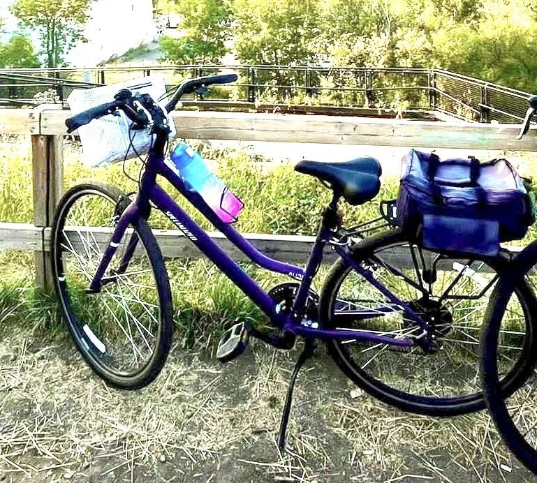 2018 Specialized Alibi C Sport Purple