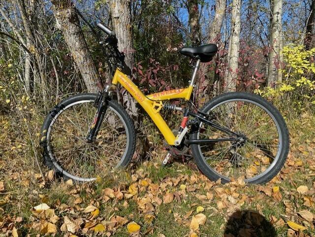 2000 Minelli Not sure Yellow or Gold