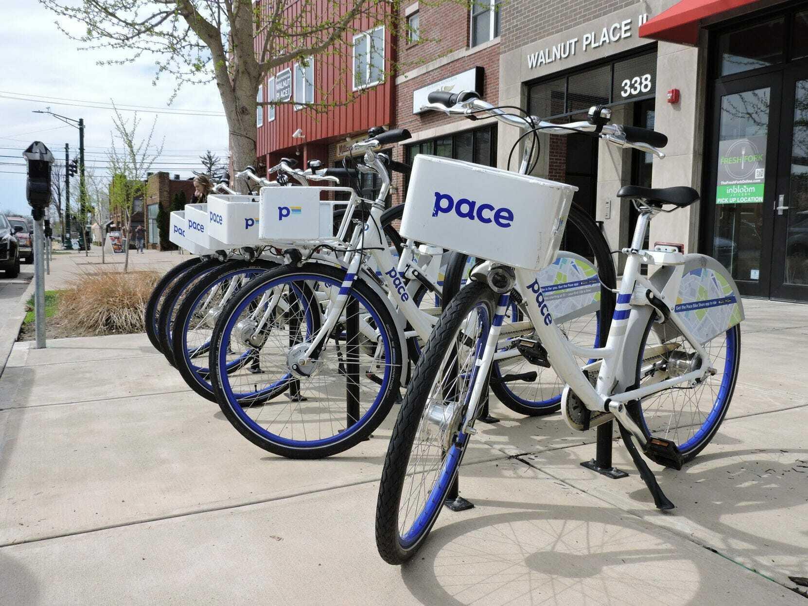 Pace Sportswear White and Blue